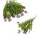florpol.pl 13894.jpg