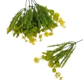 florpol.pl 13896.jpg