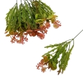 florpol.pl 13897.jpg