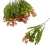 florpol.pl 13897.jpg