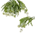 florpol.pl 13898.jpg