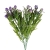 florpol.pl 13887.jpg
