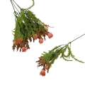florpol.pl 13890.jpg