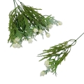 florpol.pl 13893.jpg