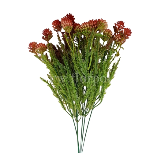 florpol.pl 13879.jpg