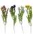florpol.pl 13880.jpg