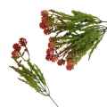 florpol.pl 13882.jpg