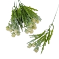 florpol.pl 13883.jpg