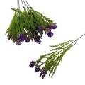 florpol.pl 13884.jpg