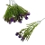 florpol.pl 13884.jpg