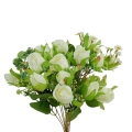 florpol.pl 13852.jpg