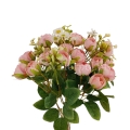 florpol.pl 13843.jpg