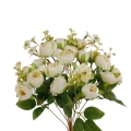 florpol.pl 13848.jpg