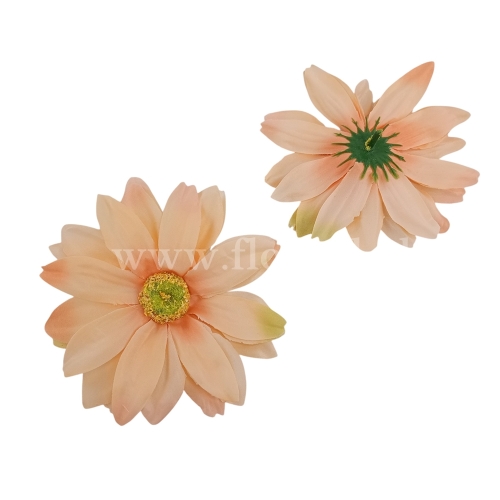 Rudbekia wyrobowa 12szt krem/morela/pistacja (F9-09)
