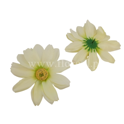 Rudbekia wyrobowa 12szt wanilia/pistacja (F9-09)