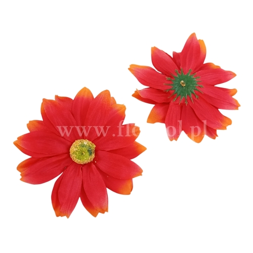 Rudbekia wyrobowa 12szt czerwień/pomarańcz (F9-09)