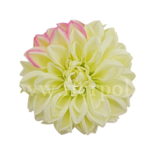 dalia - kwiat wyrobowy 1szt #11 lemon (Z2263)