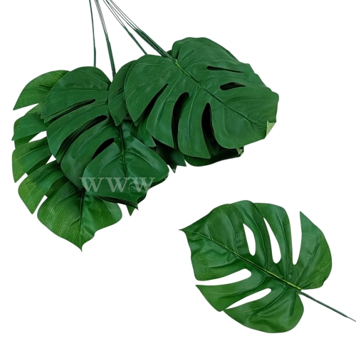 Monstera liść zielony  (L893)
