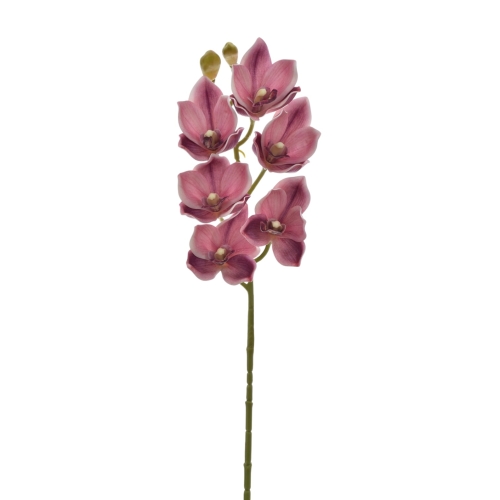 Storczyk piankowy dirty pink (LEV016) 