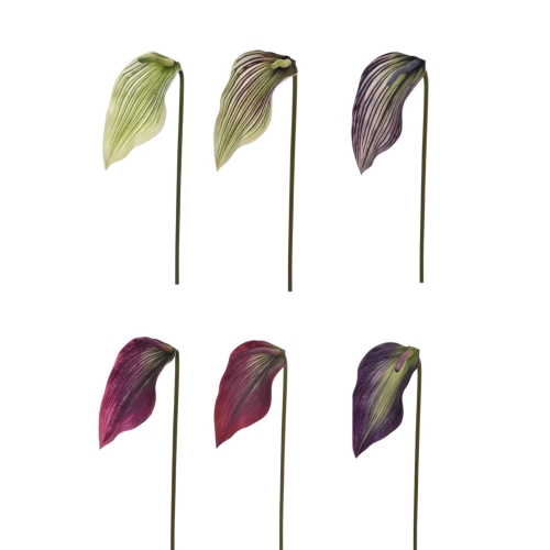 kalla cieniowana pianka - karton 36szt mix 2 (LEV021) 