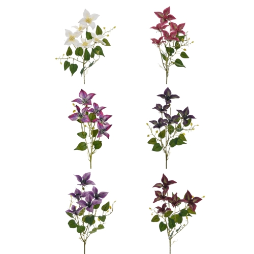 clematis - pianka - karton 36szt mix (LEV019)