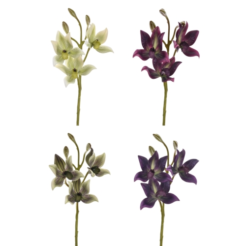 Cymbidium cieniowane pianka - karton 24szt mix 1(LEV023)  