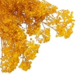paradowscy_florpol.pl 14102.jpg