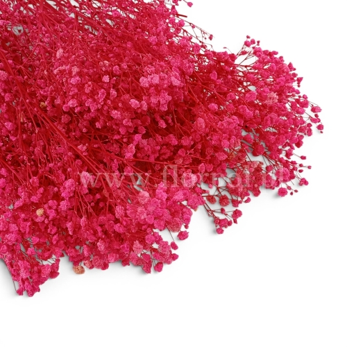 paradowscy_florpol.pl 14100.jpg
