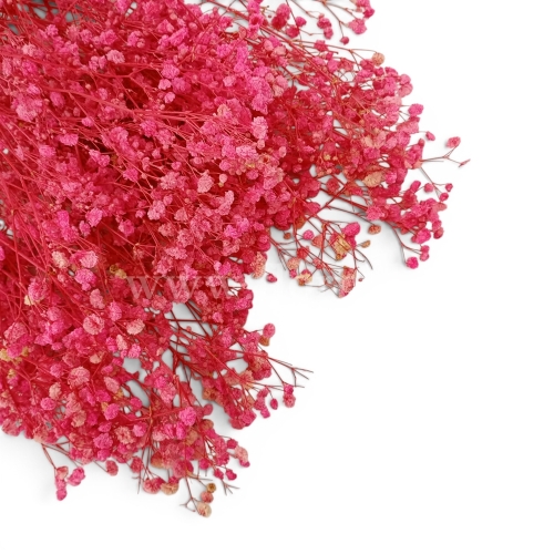 paradowscy_florpol.pl 14103.jpg