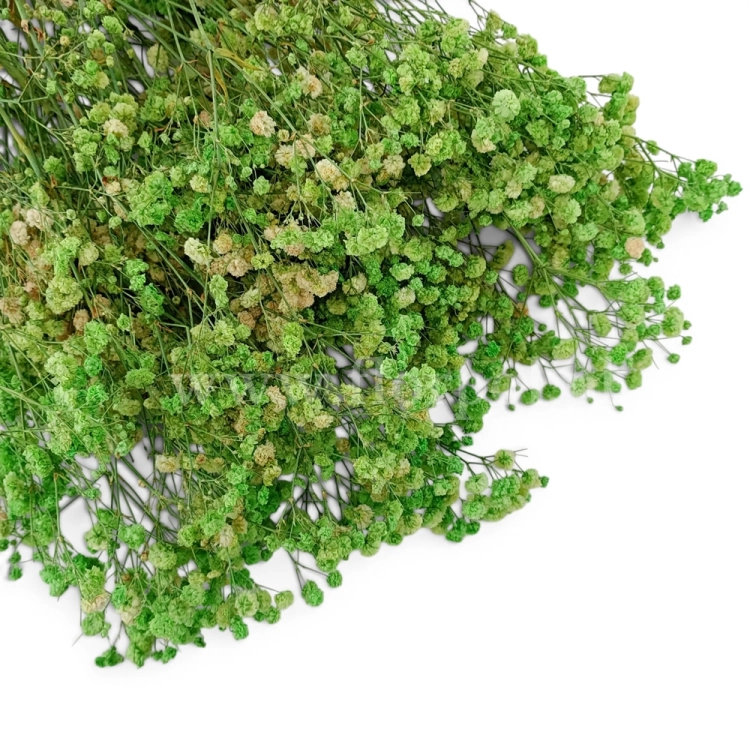 paradowscy_florpol.pl 14105.jpg