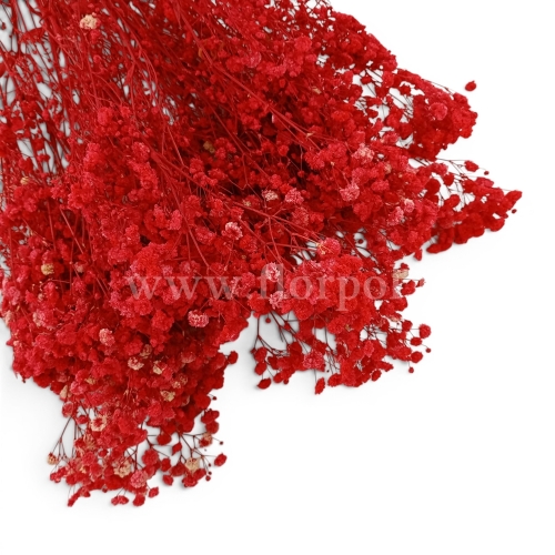 paradowscy_florpol.pl 14106.jpg
