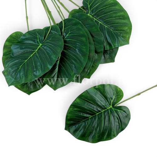 filodendron liść 12szt ciemna zieleń (L843)