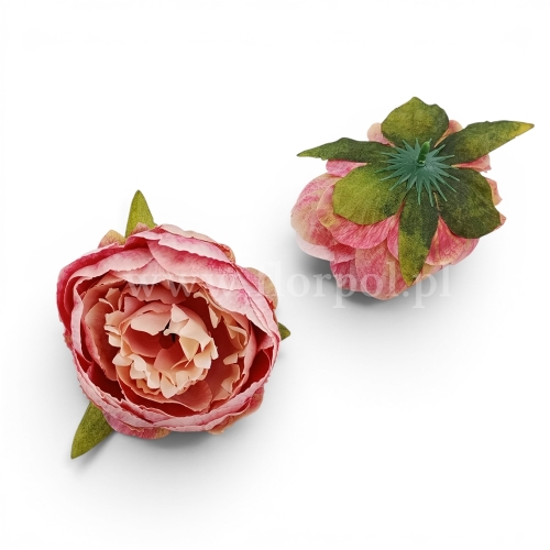 Peonia wyrobowa 12szt róż/zieleń (FA0303)
