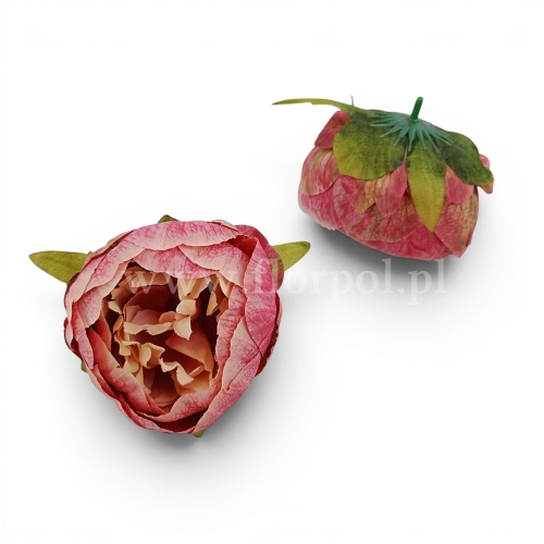 Peonia wyrobowa 12szt róż/beż (FA0303)