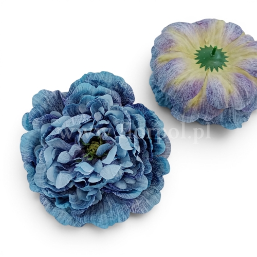 Peonia wyrobowa, otwarta, cieniowana 6szt odc.niebieskiego (FA0304_MixA)