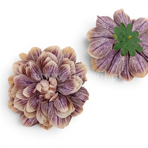 Dalia cieniowana 12szt sepia/fiolet (FA0301_mixB)