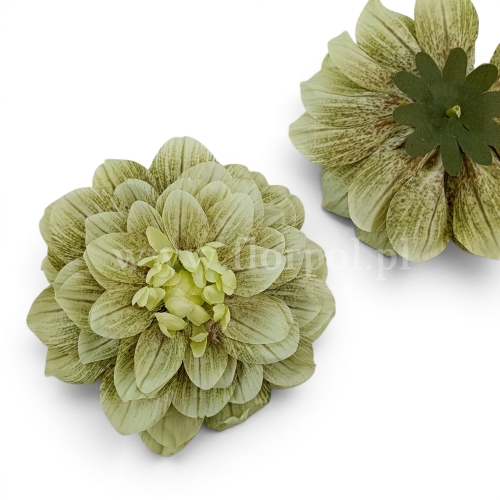 Dalia cieniowana 12szt j.zieleń (FA0301_mixB)