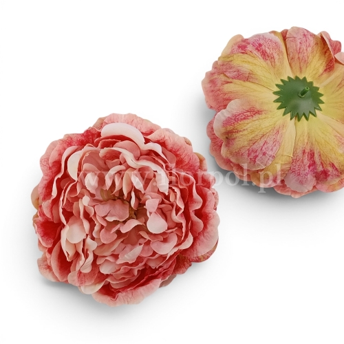 Peonia wyrobowa, otwarta, cieniowana 6szt blada czerwień/krem (FA0304_MixB)
