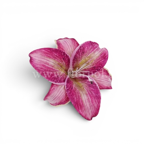 bc7c8464b5ddedf9cd4a972dcbf286a3