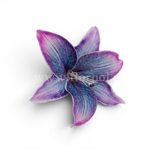 Lilia satynowa, cieniowana 24szt stalowoniebieski/fioletowy (FA0201)