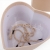 flower box  14357.jpg