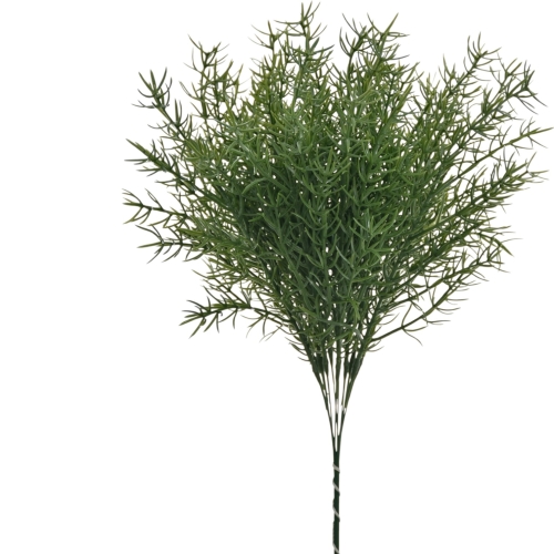 Asparagus gałązka 12szt green (TIK150) 