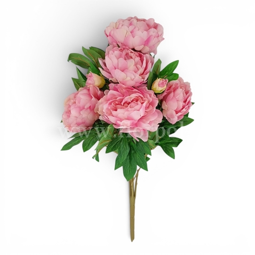 Bukiet peonii - karton 12szt  #3083 mauve edge pink (SUN122)