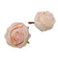 3064 apricot cream.jpg