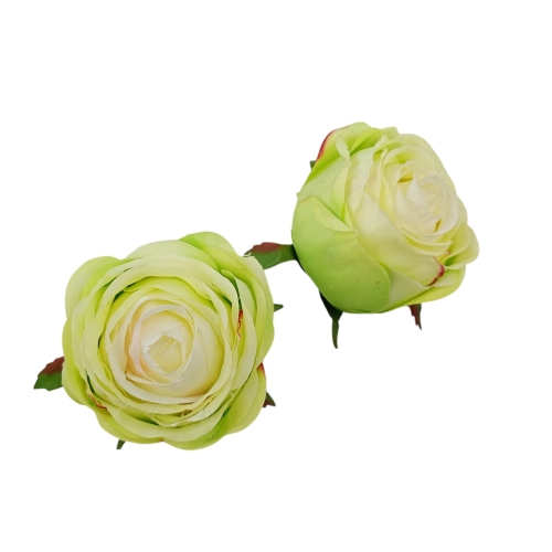 Róża zwijana Poppy Rose 12szt #2286 green/edge pink (SUN564)