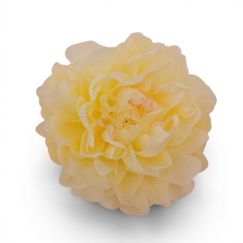delikatna peonia wyrobowa 12szt #1664 vanilla (SUN406)