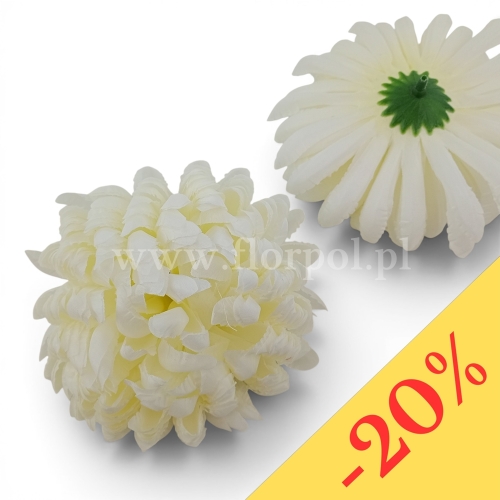 Chryzantema ananas 6szt #3 ecru/słoneczny u nasady (Basia)