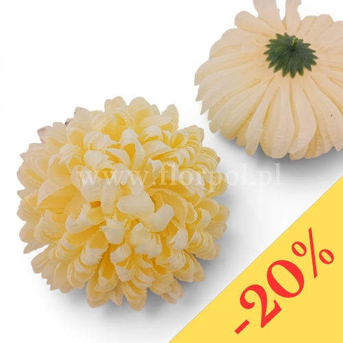 Chryzantema ananas 6szt #5 jasny kremowy (Basia)