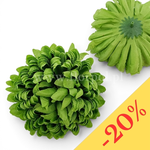 Chryzantema ananas 6szt #7 zielony (Basia)
