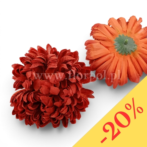 Chryzantema ananas 6szt #18 mahoń (Basia)